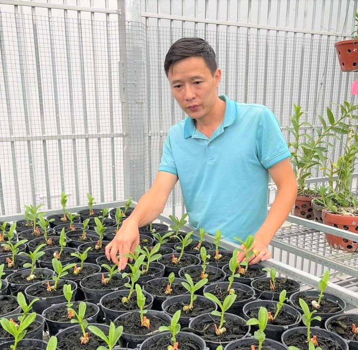Thầy giáo giỏi và hành trình xây dựng thương hiệu vườn lan Dinh Nguyen - 2