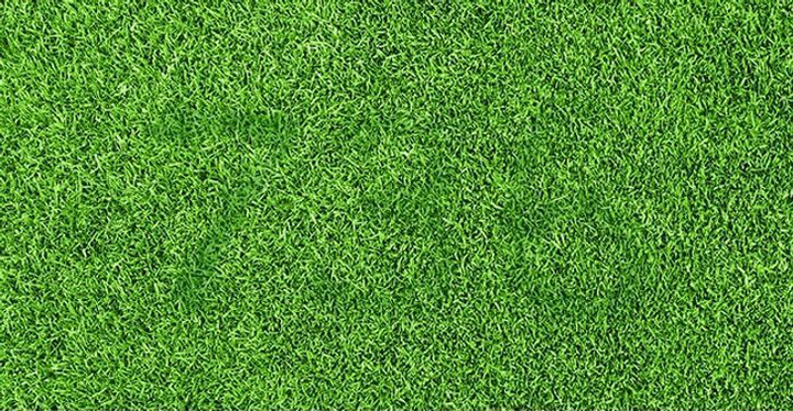 Người nào cực kỳ tinh mắt mới thấy 3 chữ số trên bãi cỏ này - 1