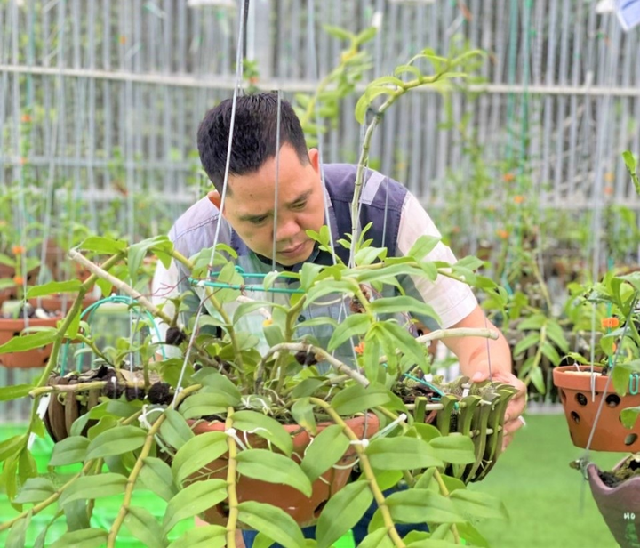 Ông chủ vườn lan Tuyết Hùng và bí quyết kinh doanh thành công từ hoa lan - 2