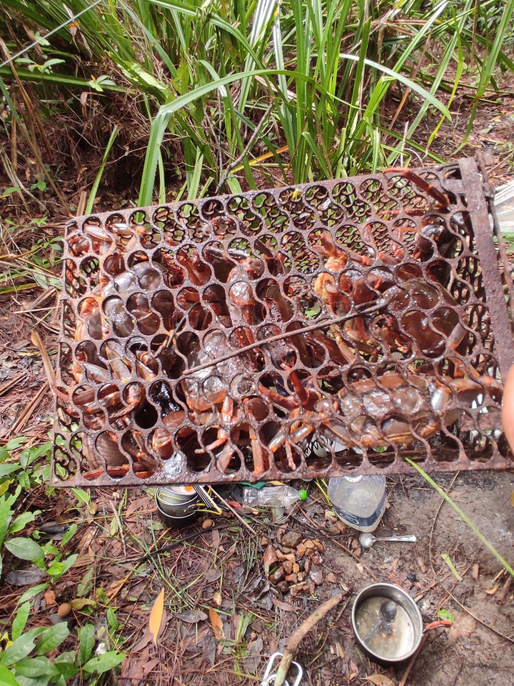 4 người kẹt trong rừng 1, 5 tháng vì dịch ảnh 5 Đi cắm trại, 4 người kẹt 1,5 tháng trên núi ở Bà Rịa - Vũng Tàu vì COVID-19 - 6