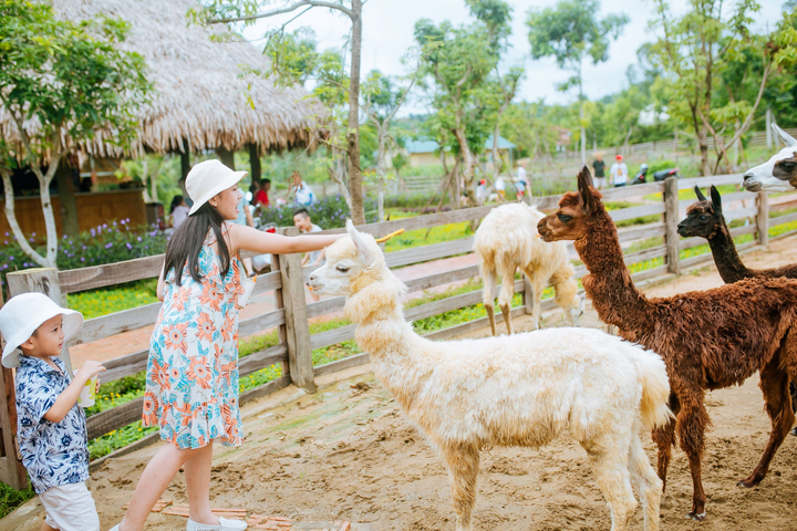 Khu sinh thái Mường Thanh Diễn Lâm đổi tên là 'Mường Thanh Green Land Diễn Lâm' - 3