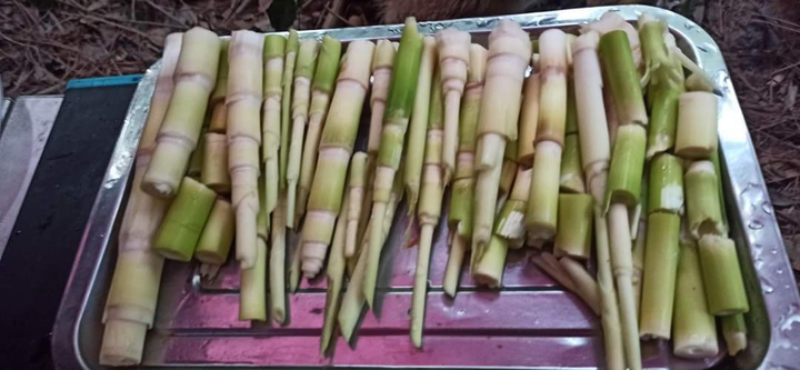 4 người kẹt trong rừng 1, 5 tháng vì dịch ảnh 3 Đi cắm trại, 4 người kẹt 1,5 tháng trên núi ở Bà Rịa - Vũng Tàu vì COVID-19 - 4