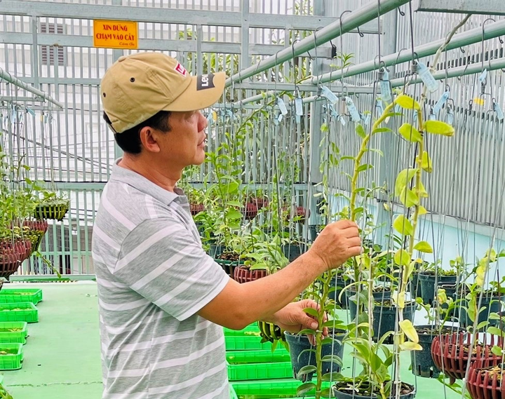 Từ thợ sửa điện đến ông chủ vườn lan nhiều người mơ ước - 1