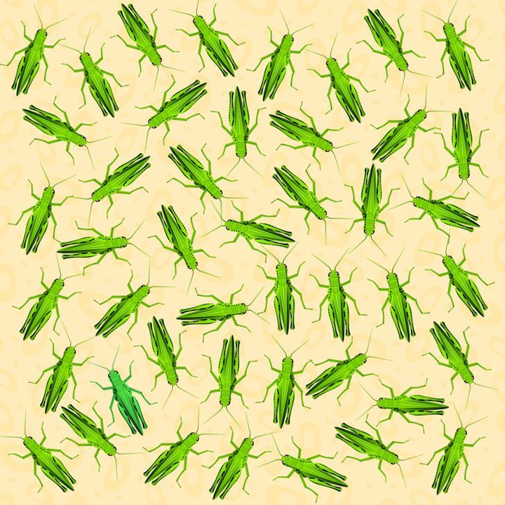 Phải là 'cao thủ tinh mắt' mới tìm ra nhân vật khác biệt trong ảnh - 3