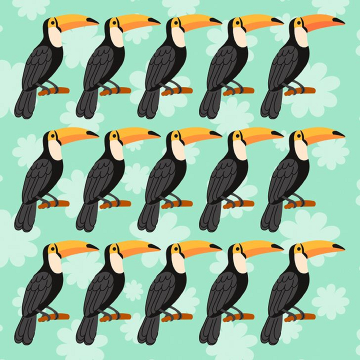 Phải là 'cao thủ tinh mắt' mới tìm ra nhân vật khác biệt trong ảnh - 4