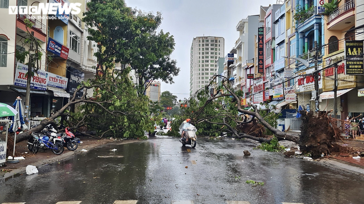 Video, hình ảnh cây đổ hàng loạt, đè bẹp ô tô sau mưa lớn ở thành phố Pleiku - 1