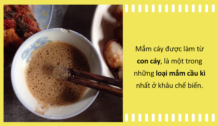 Ẩm thực Việt: Người Việt quả là sáng tạo, con gì cũng có thể làm mắm - 2