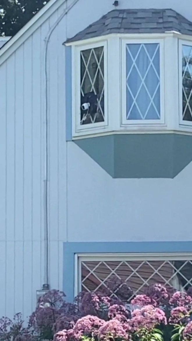 Màn trả đũa của đôi trẻ bị hàng xóm chĩa 5 cái camera vào nhà - 1