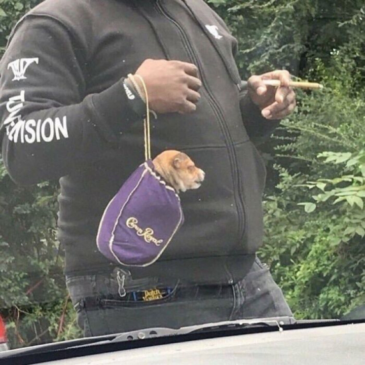 Loạt khoảnh khắc khiến nhiều người tròn mắt 'từ chối hiểu' - 8