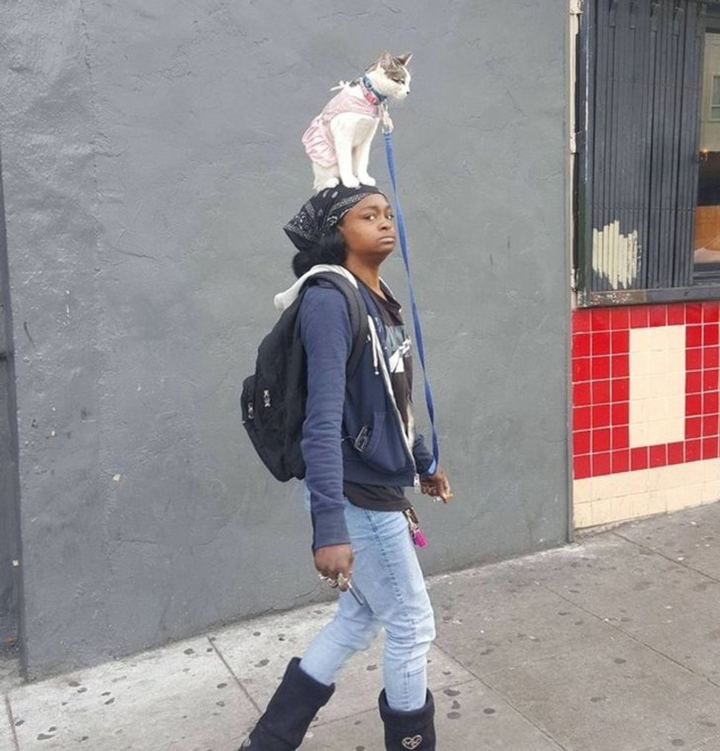 Loạt khoảnh khắc khiến nhiều người tròn mắt 'từ chối hiểu' - 7