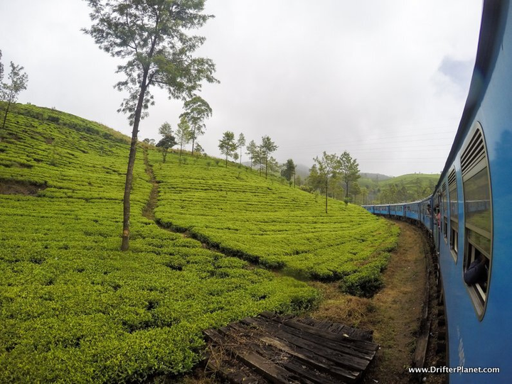 Chỉ với 60 nghìn, du khách có thể trải nghiệm chuyến tàu đẹp nhất thế giới - 5