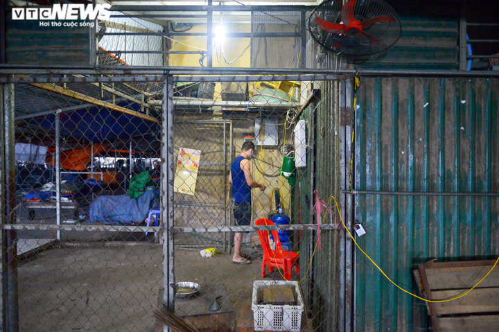 Hà Nội: Chợ đầu mối phía Nam ngày đầu tiên mở cửa trở lại sau phong toả - 12