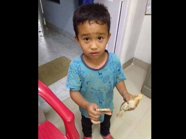 Lỡ tông gà con, bé trai nức nở cầm tiền lẻ đưa gà vào viện xin bác sĩ cứu chữa - 1