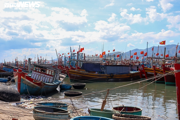 Ra khơi lỗ nặng, hàng trăm tàu cá ‘mắc cạn’ ở Quảng Bình - 1