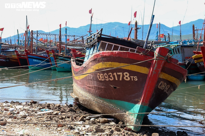 Ra khơi lỗ nặng, hàng trăm tàu cá ‘mắc cạn’ ở Quảng Bình - 2