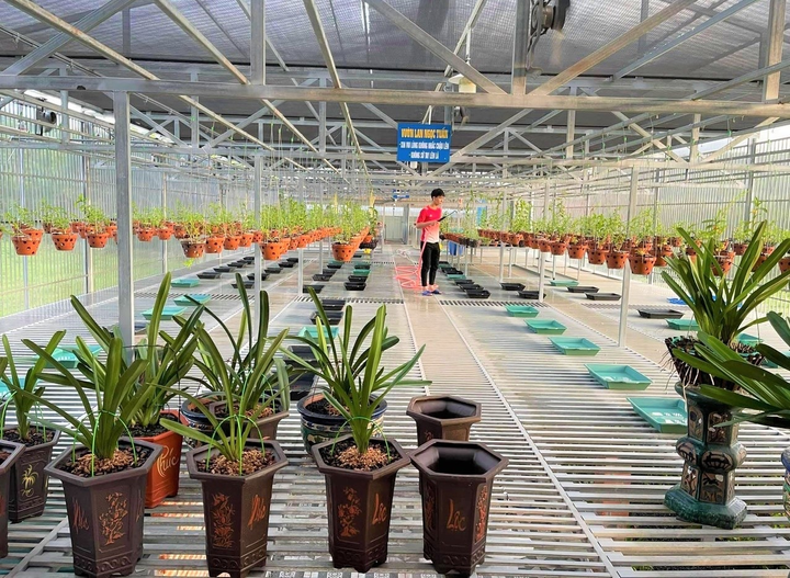 Từ hai bàn tay trắng đến ông chủ vườn lan Ngọc Tuấn - 3