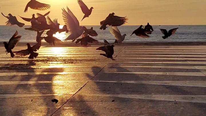 Đà Nẵng những ngày vắng tanh, mà tình người đầy ắp - 2