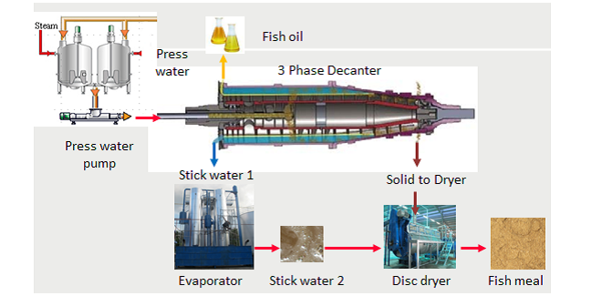 Dầu cá hồi Fish Oil Careline: Dầu cá không gia nhiệt giàu DHA và EPA - 2