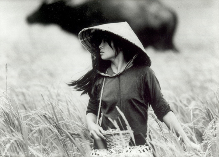 Diễn viên Việt đầu tiên đóng chính trong phim đầu tư lớn của Hollywood - 4