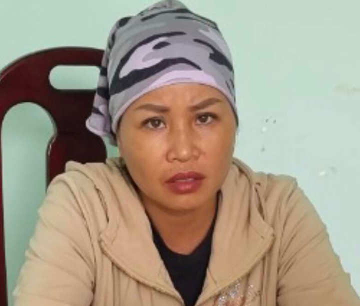 'Nữ quái' ở Gia Lai thuê 2 ô tô trị giá gần tỷ đồng mang đi cầm cố - 1