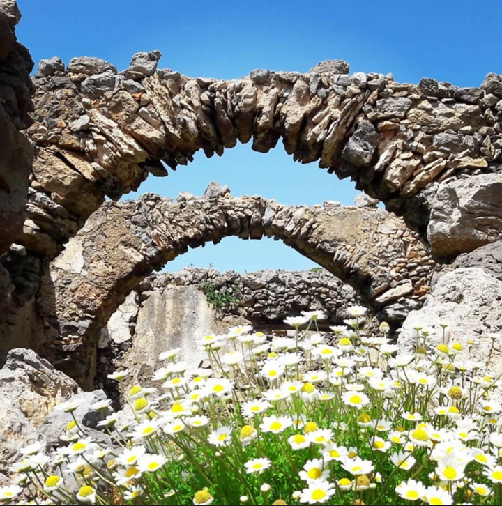 Hòn đảo đẹp tựa thiên đường, nơi người đến ở được tặng nhà và phát tiền - 6