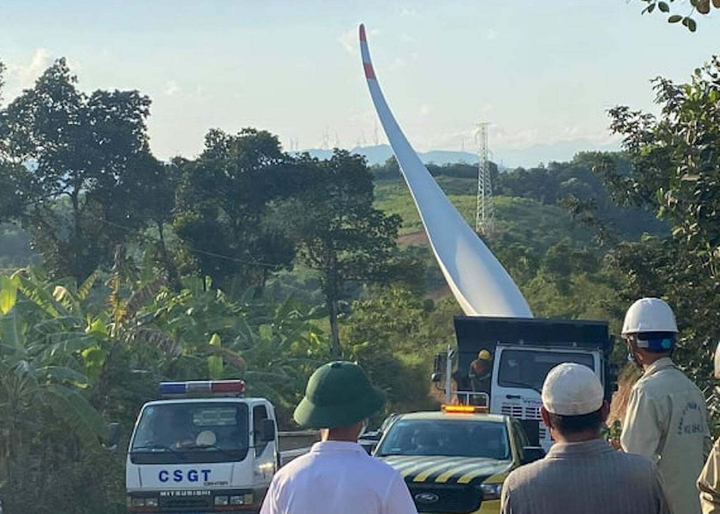 Đánh công an, đòi Cty điện gió đền 50 triệu đồng/cây gỗ tạp: Tội phạm có tổ chức - 4