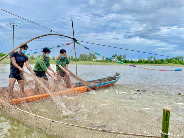 Ảnh: Giám đốc Công an An Giang trực tiếp trao rau, gạo cho người khó khăn - 9