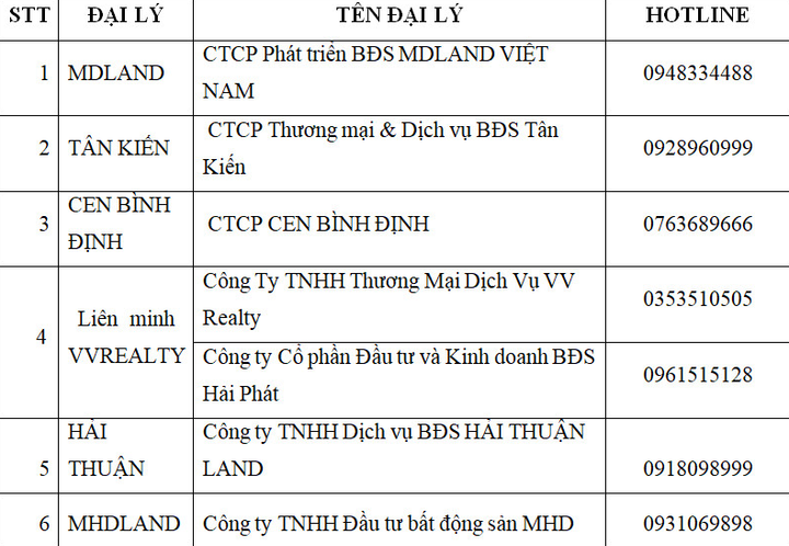 Lễ ra quân phân phối sản phẩm và tư vấn bán hàng The Sailing Quy Nhơn - 4