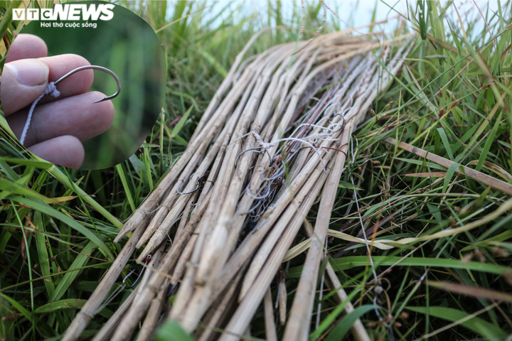 Ảnh: Mê mẩn theo chân đội câu cá lóc đêm ở Hà Tĩnh - 5