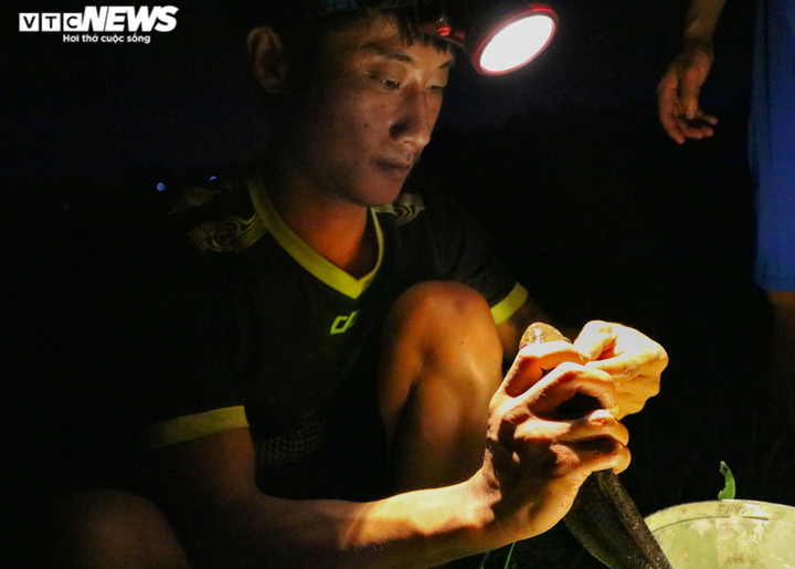 Ảnh: Mê mẩn theo chân đội câu cá lóc đêm ở Hà Tĩnh - 7