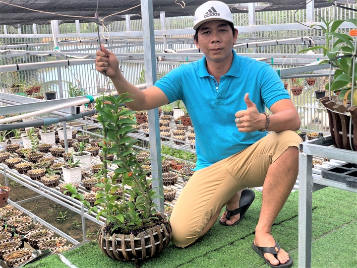 Từ thầy giáo giỏi đến ông chủ vườn lan Phan Huỳnh Như - 1