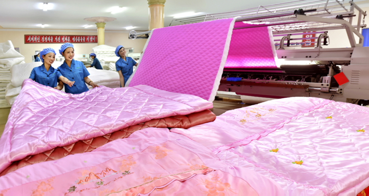 Hình ảnh hiếm về hoạt động của thanh niên Triều Tiên - 9