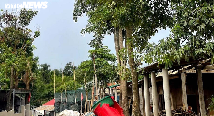 Ảnh: Hiện trường 'bắt vạ' 50 triệu/cây gỗ tạp, nhiều công an bị đánh nhập viện - 10