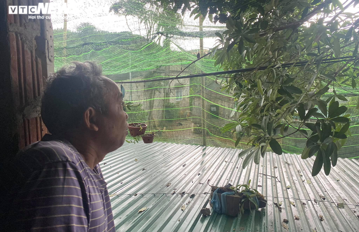 Ảnh: Hiện trường 'bắt vạ' 50 triệu/cây gỗ tạp, nhiều công an bị đánh nhập viện - 12