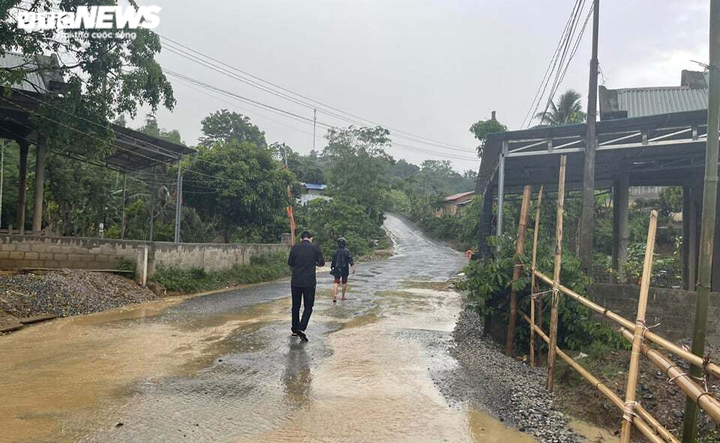 Ảnh: Hiện trường 'bắt vạ' 50 triệu/cây gỗ tạp, nhiều công an bị đánh nhập viện - 1