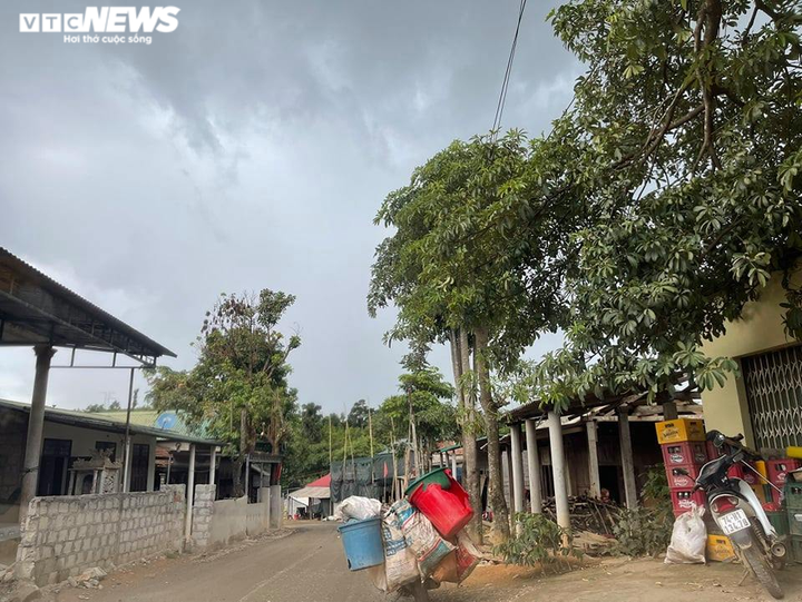 Bảo vệ thiết bị điện gió, nhiều công an Quảng Trị bị đánh: Xác định kẻ cầm đầu - 1