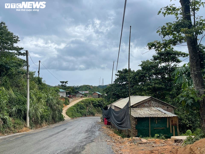 Ảnh: Hiện trường 'bắt vạ' 50 triệu/cây gỗ tạp, nhiều công an bị đánh nhập viện - 5