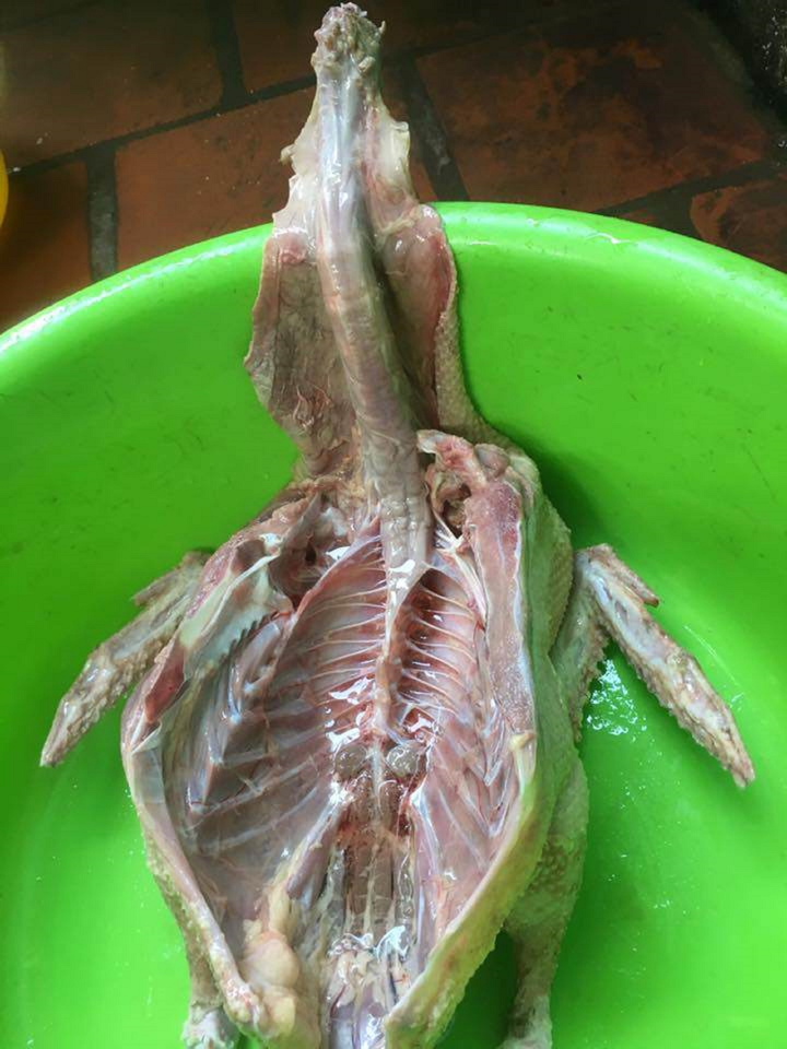 Khoe thành quả làm thịt ngan, cô gái ấm ức không hiểu vì sao bị mẹ mắng tới tấp - 2