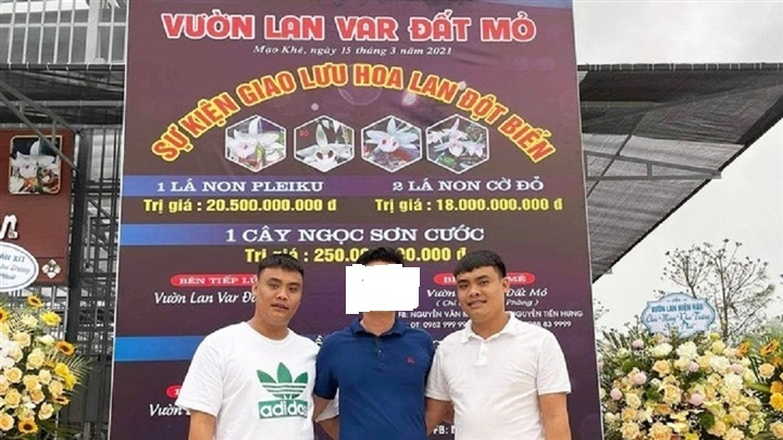Bắt anh em 'đại gia' lan đột biến ở Quảng Ninh khai thác hàng triệu tấn than lậu - 1