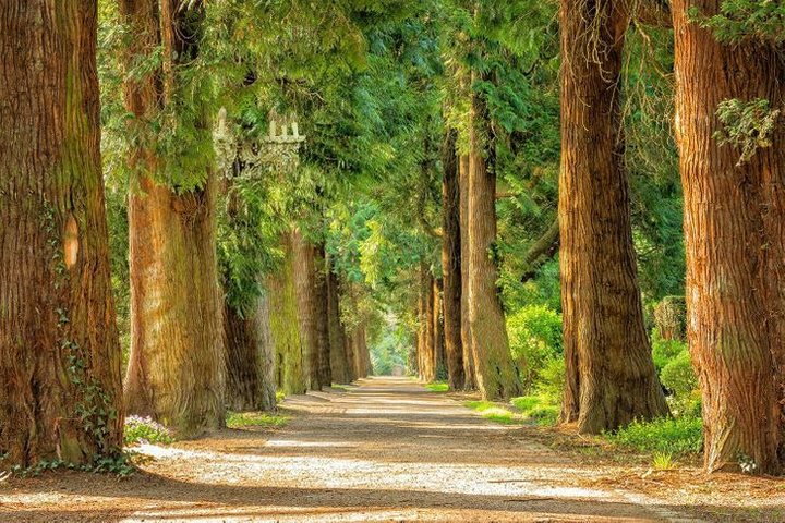 Chỉ dưới 10% người nhìn ra được chi tiết vô lý trong ảnh sau 1 phút - 1