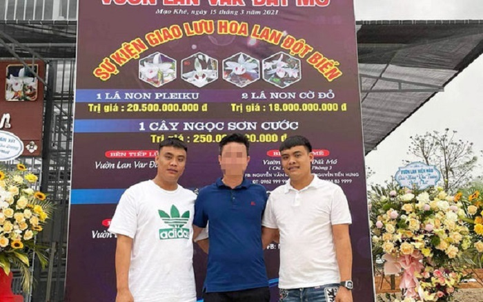 Chân dung hai đại gia lan đột biến nổi tiếng đất Mỏ bị bắt vì khai thác than lậu - 1