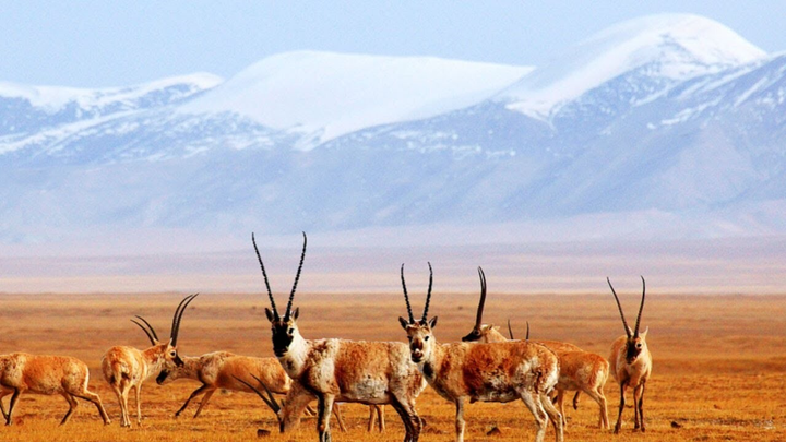 Cận cảnh vùng đất không người bí ẩn nằm ở 'cực thứ 3 của Trái đất' - 6