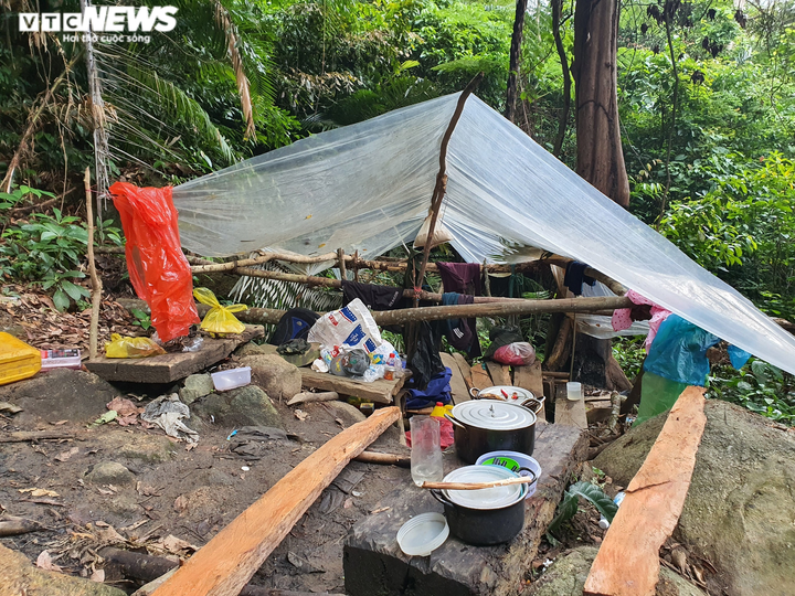 Ảnh: Lợi dụng dịch, lâm tặc 'xẻ thịt' nhiều cây cổ thụ rừng tự nhiên ở Đắk Lắk - 6