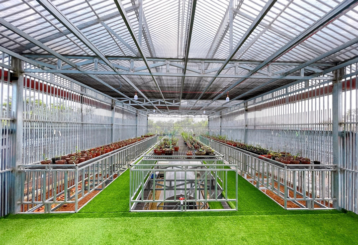 Ông chủ vườn lan Vân Phạm và niềm tin vào ngành lan - 3