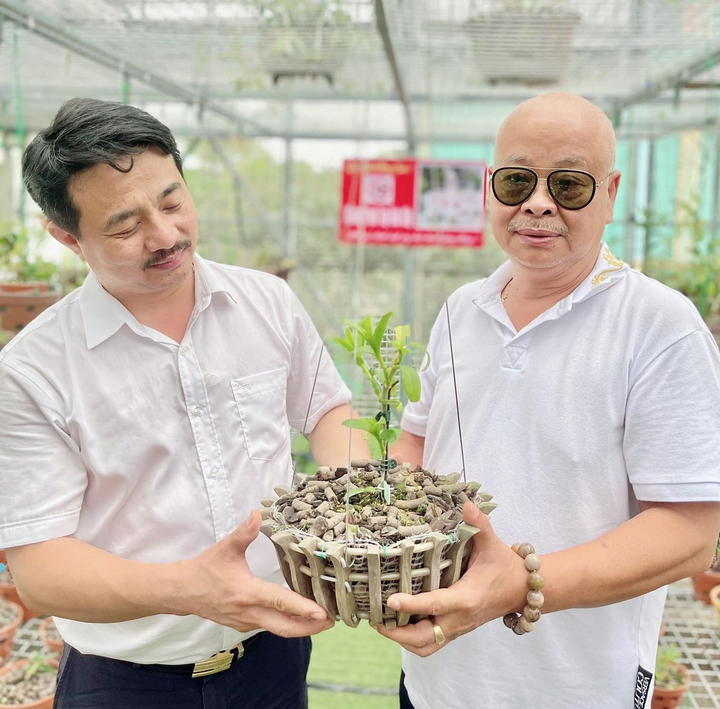 Ông chủ vườn lan Vân Phạm và niềm tin vào ngành lan - 5