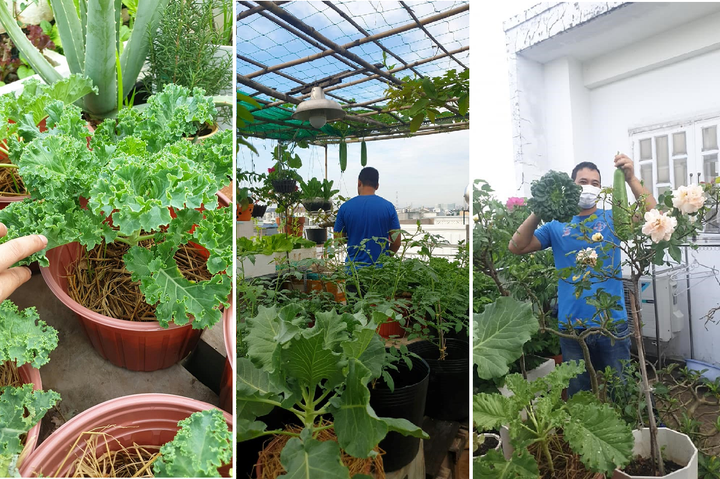 Sống tích cực mùa giãn cách: Chuyền nhau thức uống thanh nhiệt giải độc tươi mát - 1