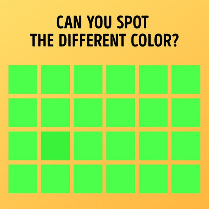 Thử thách thị giác: Có bao nhiêu hình tròn trong ảnh, lưu ý đáp án không phải 3 - 3