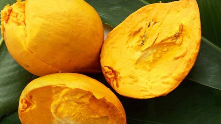 Trứng gà nhưng lại lủng lẳng trên cây, loại quả gợi nhắc tuổi thơ của bao người - 1