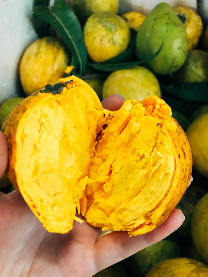 Trứng gà nhưng lại lủng lẳng trên cây, loại quả gợi nhắc tuổi thơ của bao người - 2