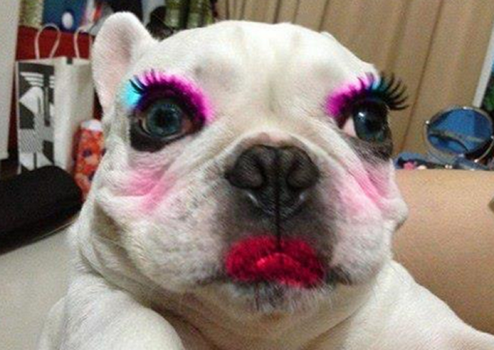 Khoảnh khắc tấu hài của hội người thích đùa khiến dân mạng cười nghiêng ngả - 8